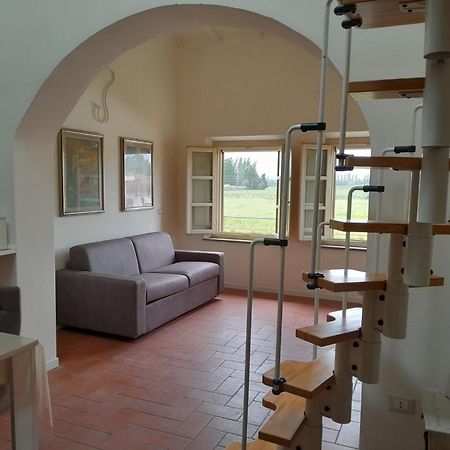 La Casa Di Fre Apartment Pisa Bagian luar foto